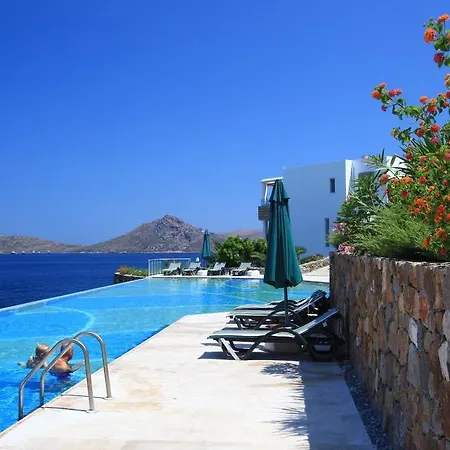 Apartments near the sea *